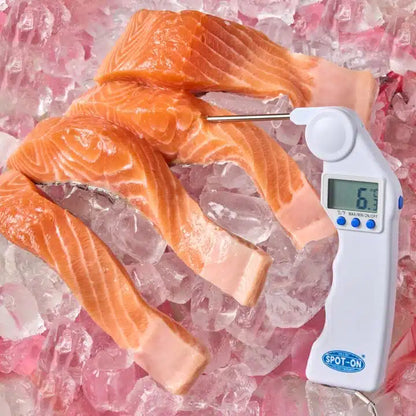Kh Spot On Digital Folding Thermometer -50C To 300C 19509